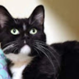 Meet your Posher, Stacie